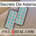 Adams Secret 29